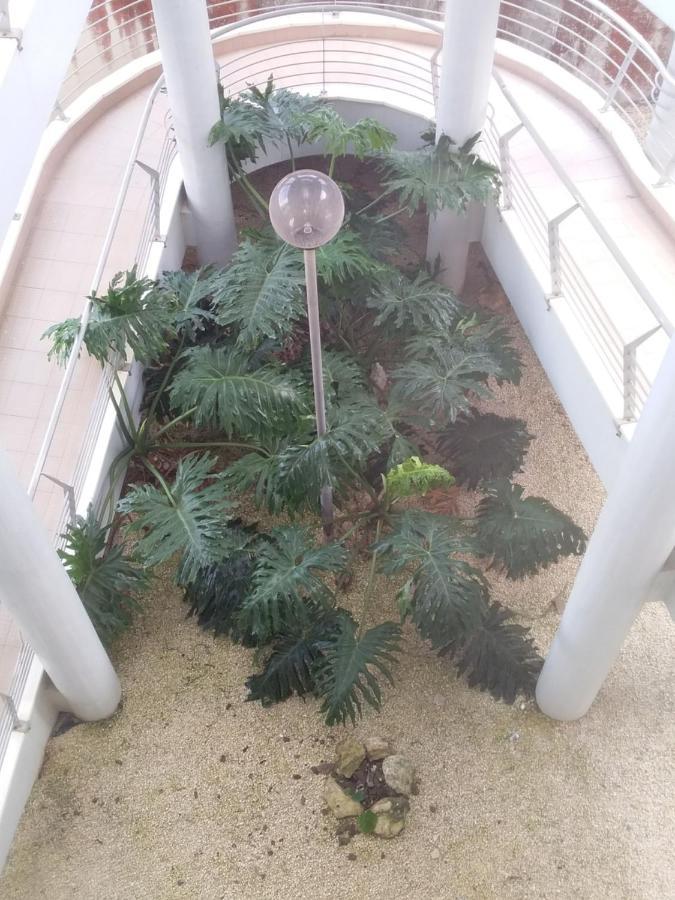Atlantic Beach-side Apartment Figueira da Foz